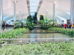 -圣保罗/瓜鲁柳斯-安德烈·弗朗哥·蒙托罗州长国际机场