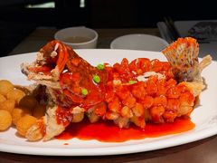 -吴越荣记·苏州菜·松鼠桂鱼(月光码头店)