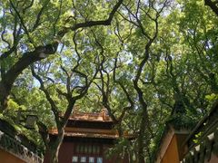 -普陀山风景名胜区-法雨禅寺