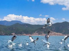 -丽江泸沽湖景区