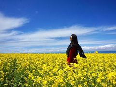 -青海湖国家重点风景名胜区