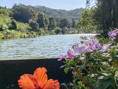 -深圳仙湖植物园