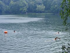 -紫霞湖公园