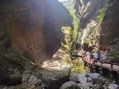 -牛背梁国家森林公园