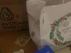 -油梨树AVOCADO TREE(顺义新国展店)