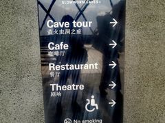 -怀托摩萤火虫洞