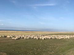 -青海湖国家重点风景名胜区