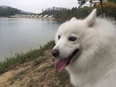 -凤岗南门山森林公园