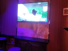 -萧邦音乐会所KTV·蒸汽活海鲜自助(福田店)