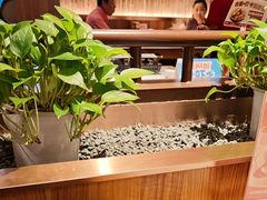 -老阿爸鲜鱼土菜(独墅湖店)
