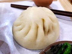 手工鲜肉包子-头壹号饸饹面·大油条(东升科技园店)