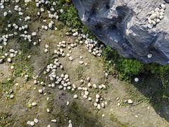 -什邡罗汉寺
