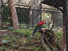 -深圳野生动物园