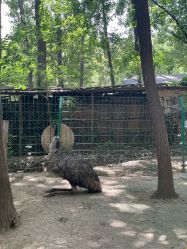 -乐zoo动物体验营