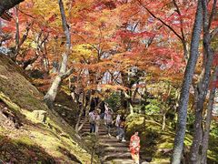 -常寂光寺
