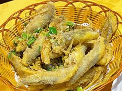椒盐九肚鱼-老字号蛇口德记烧腊饭店·海鲜加工
