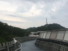 -福道