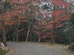 -宋宴(虎跑店)