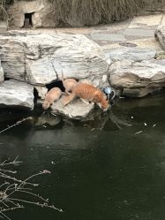 -颐和宾馆宴会厅