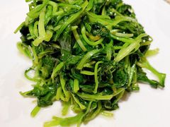 鸡毛菜-长安壹号