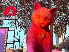 -西安电影制片厂