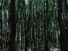 -同里国家湿地公园