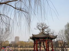 -西海子公园