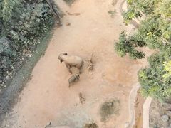 -广州长隆野生动物世界