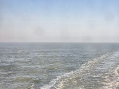 -西归浦每天偶来市场