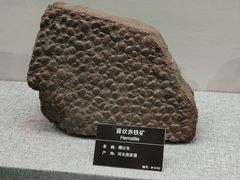 -甘肃地质博物馆