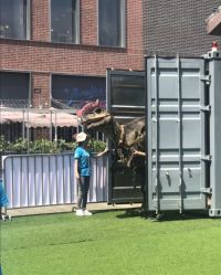 -恐龙探索乐园(磁器口店)