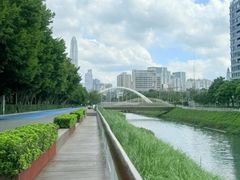 -福田红树林生态公园