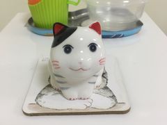 -美联众合动物医院·24h京西诊疗中心