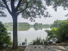 -翠湖国家城市湿地公园