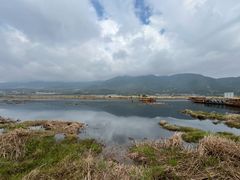 -腾冲北海湿地