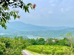 -中旅阿那亚九龙湖·公主酒店