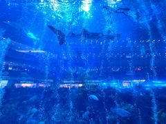 -成都浩海立方海洋公园