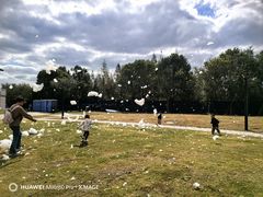 -季高兔窝窝亲子园(上海薰衣草公园店)