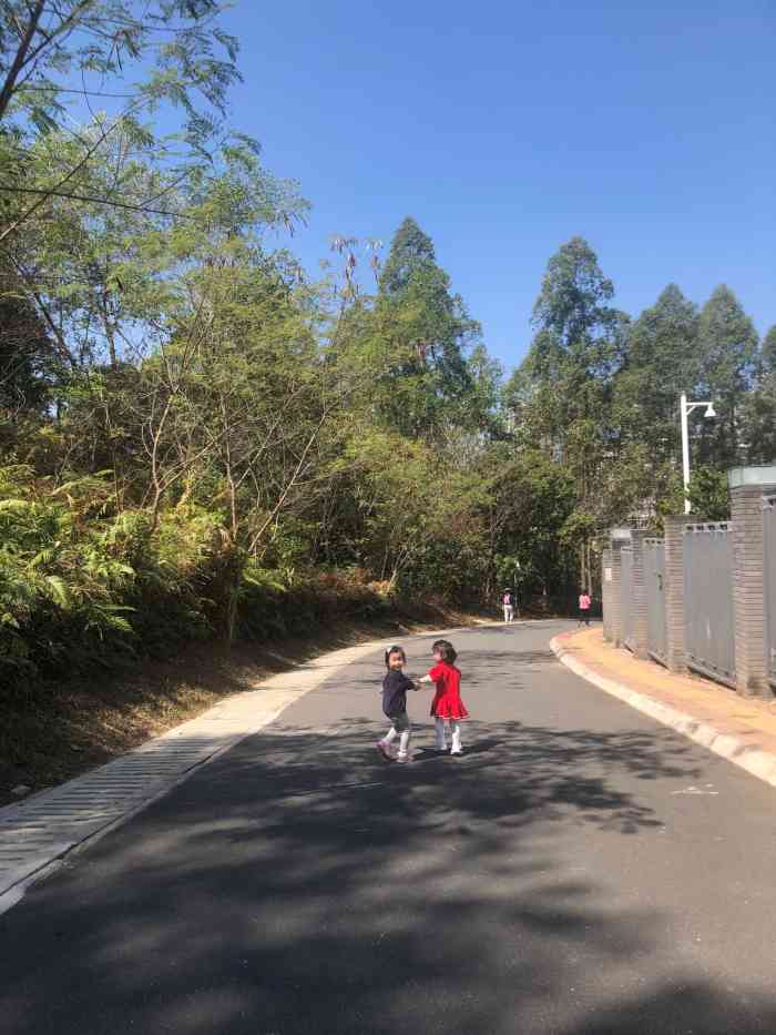 大运自然公园-"dayun natural park, ."-大众点评移动版