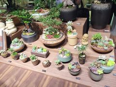 -方所(华润万象城店)