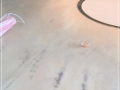 -左庭右院鲜牛肉火锅(浦江欢乐颂店)