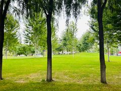 -东北农业大学
