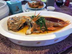 -欢乐海岸美食联盟