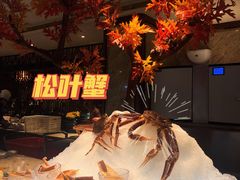 -半岛翡丽海鲜自助餐厅(观风亭店)