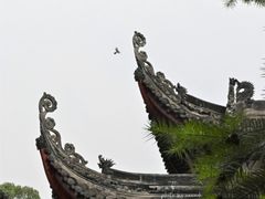 -成都市文殊院