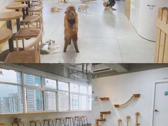 -Heymao猫咖.咖啡厅(东门店)