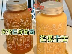 -野萃山·潮汕厚果汁(十亩地店)