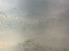 -中国湿地博物馆