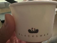 -BLACKSWAN黑天鹅(环球店)