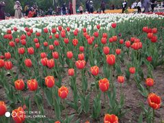 -长春公园(普阳街道)